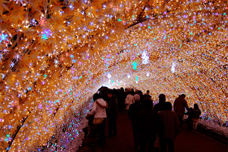 Illustration for article titled Tokyo Xmas Light Shows Overload Senses, Power Grid